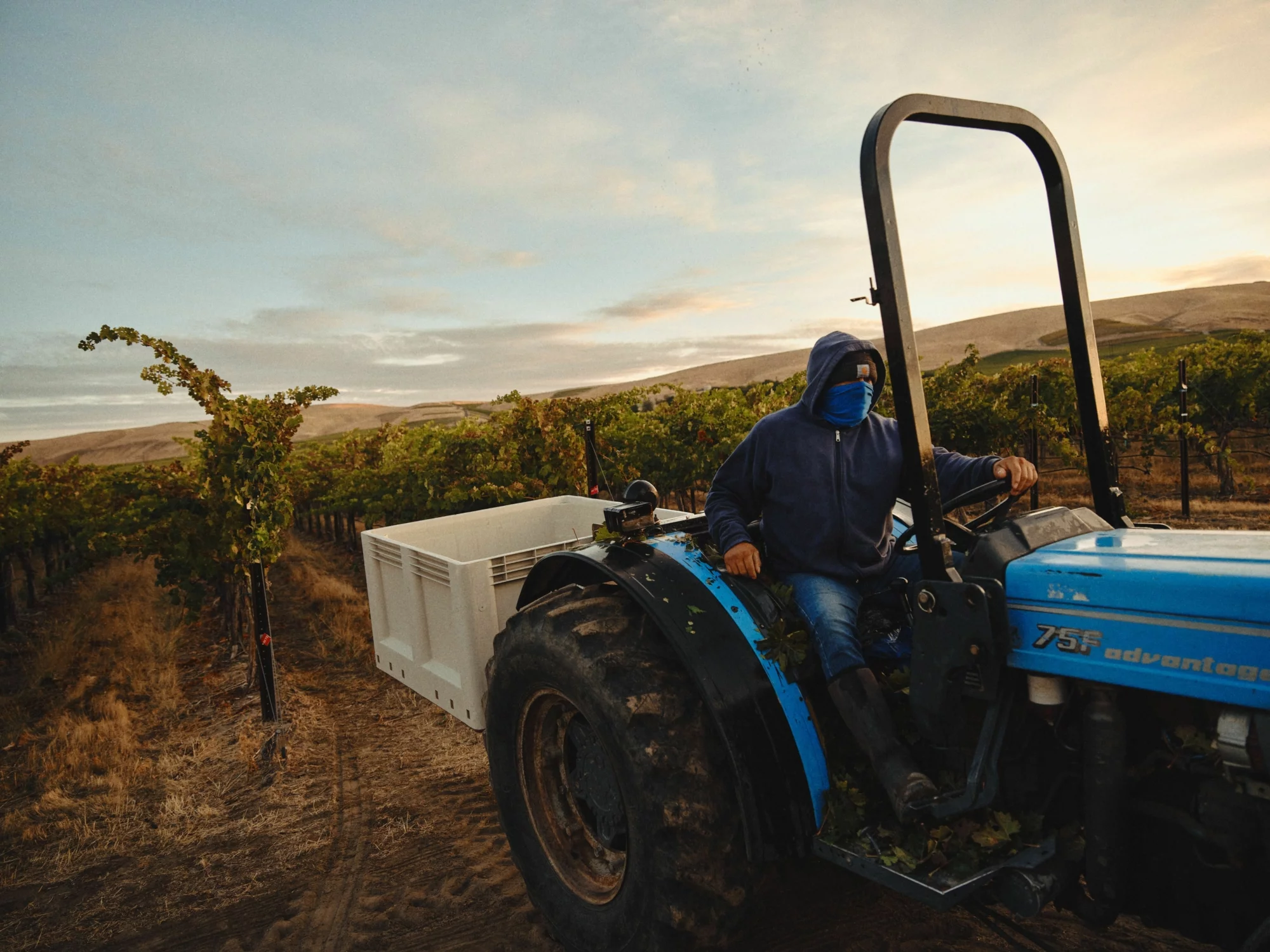 Kiona Red Mountain Gallery 1