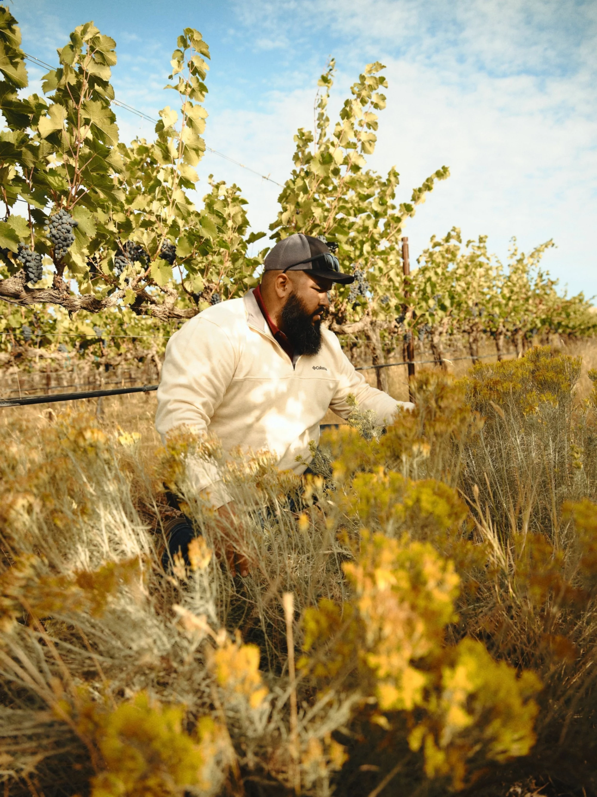 Kiona Red Mountain Gallery 4