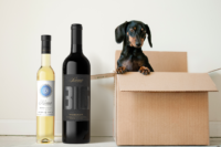 Lifestyle - Shipping