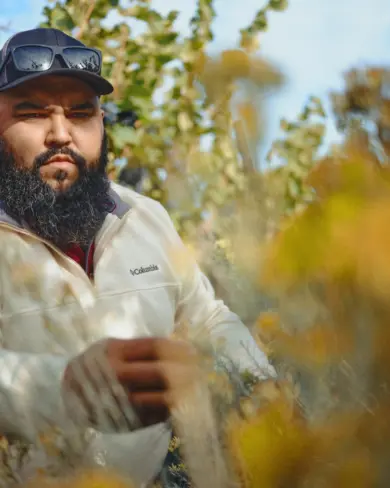 Kiona About The Connection Grape harvester man