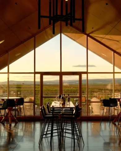 Tasting Room Hero Vineyard view