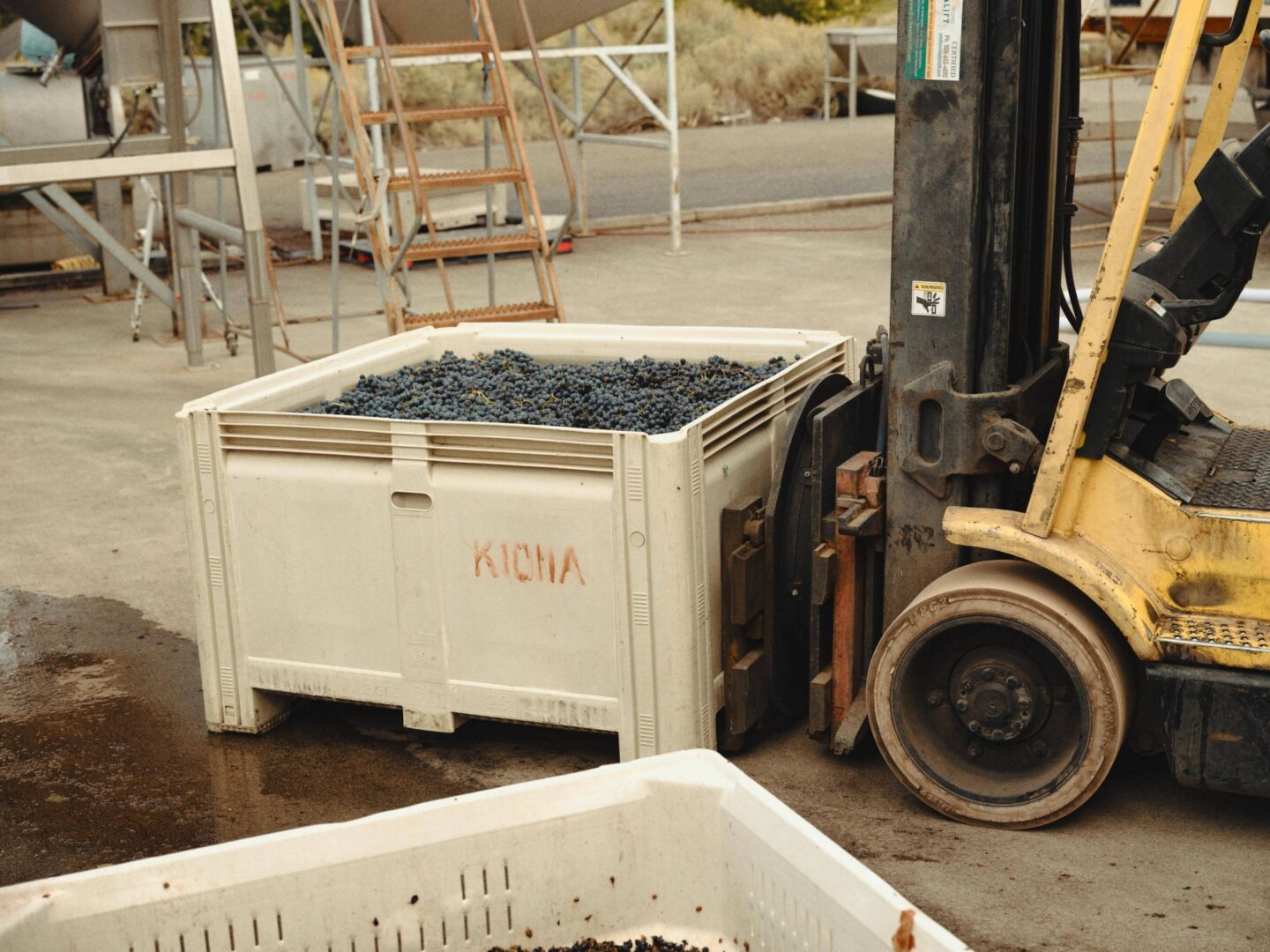 2023 GILLETT Kiona Selects FPO GILL2440