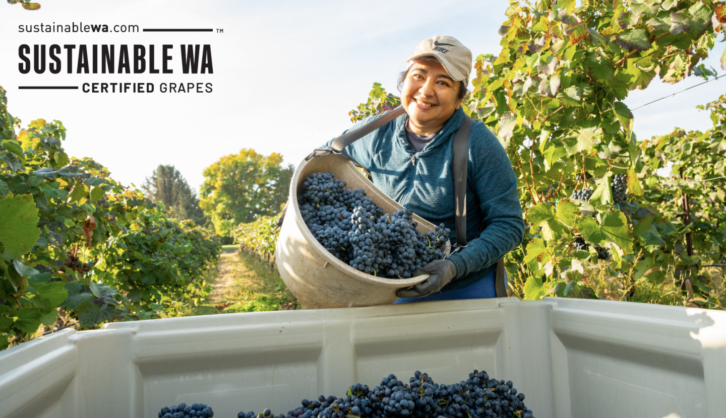 ROSA LEMBERGER THUMB