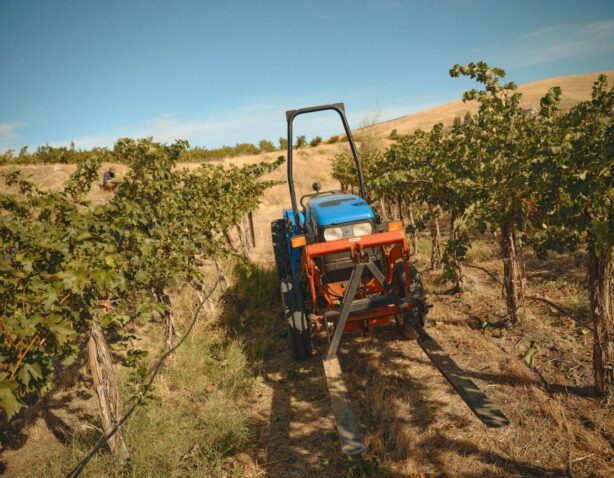 Spring 2026 Wine Club Release - The Logistics