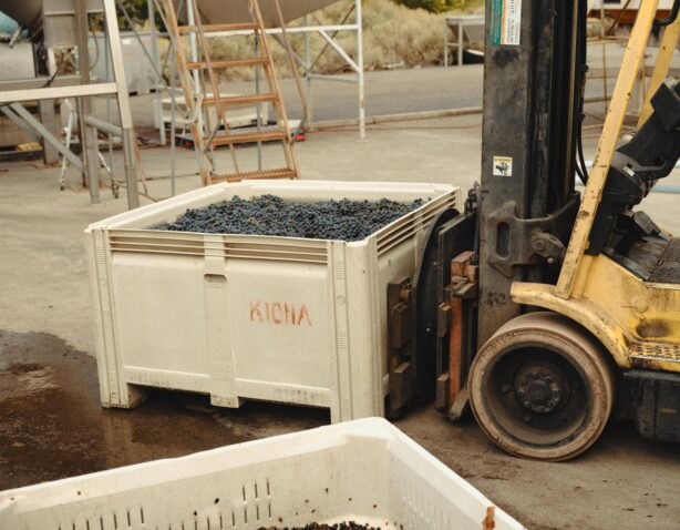 Fall 2025 Wine Club Release - The Logistics