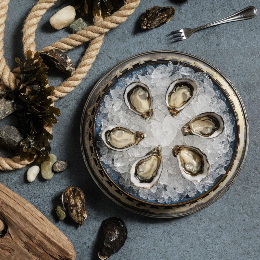 Shigoku sq prop 01676