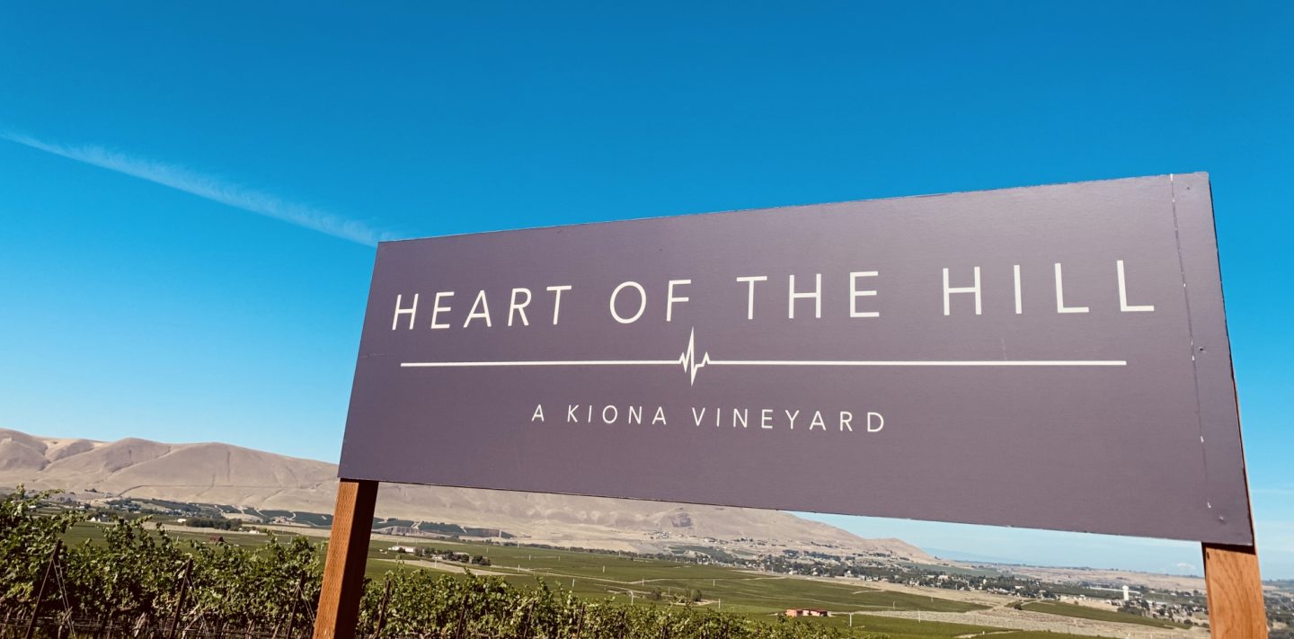 Heart of the Hill vineyard hero shot